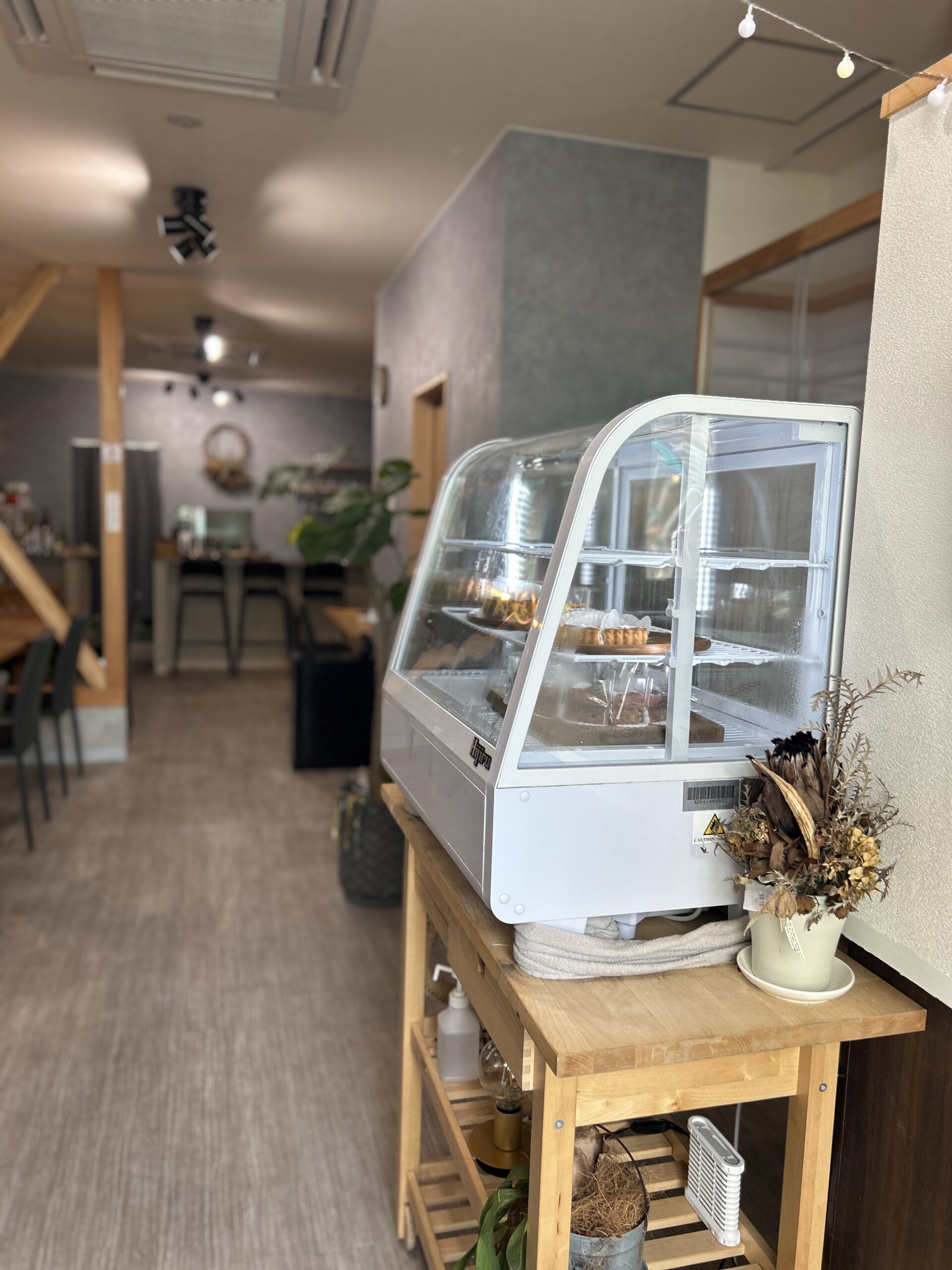 コラボ動画🎥✨